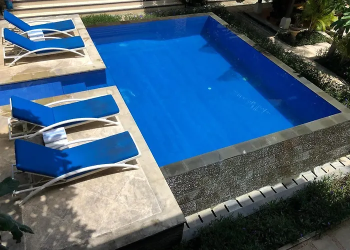 D'kubu